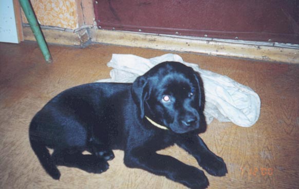 ��� ��� ����� 2 ������